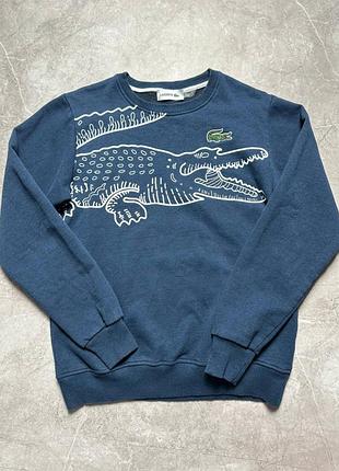 Мужской синий свитшот lacoste