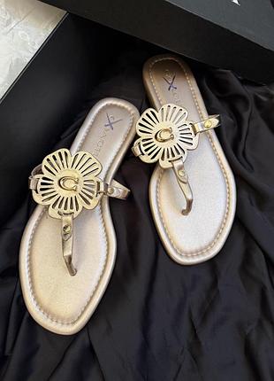Оригинальные кожаные босоножки coach
