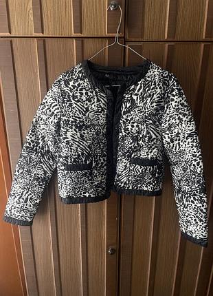 Куртка весна/осінь mango casual