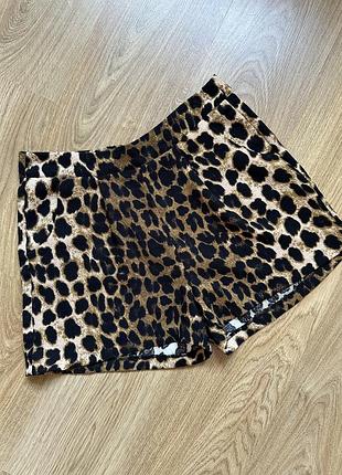 Шорти з анімалістичним принтом
