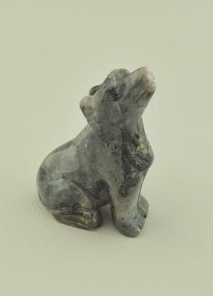 118540 собака лабрадор 45х27