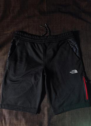 Мужские шорты the north face (л)