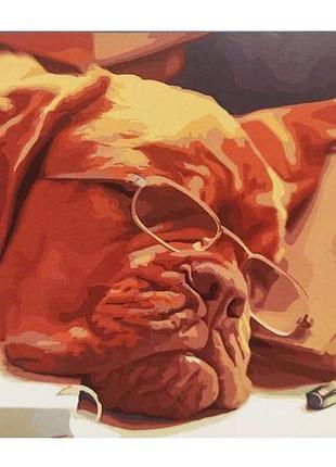 Картина по номерам "умный пес" ★★★