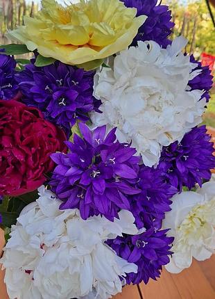 Звоники многолетние