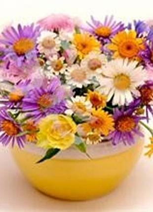 Набор для творчества со стразами. 20х30см. солнечное настроение.