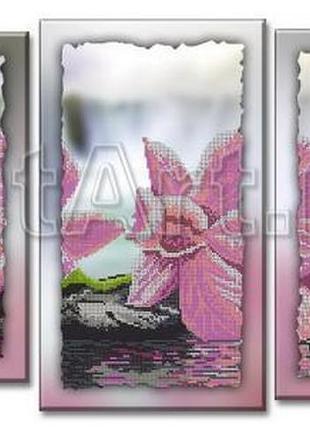 Схема для вишивання бісером на полотні з підрамкою. яблучний колір.