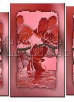 Схема для вишивання бісером на полотні з підрамкою. орхідеї. дефект