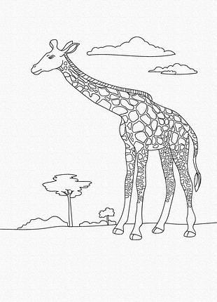 Набор для творчества, рисования картин   20х30см. жираф