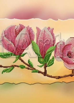 Схема для вишивання бісером на полотні з підрамкою. дві вази.