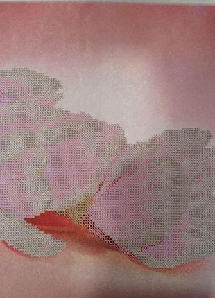 Схема для вишивання бісером. чарівність магнолії 1