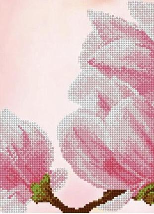 Схема для вишивання бісером. чарівність магнолії 2