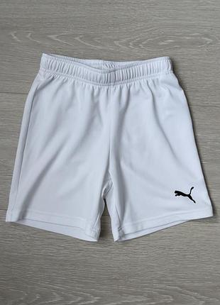 Спортивные шорты puma
