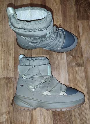 Сапоги женские ugg р.38