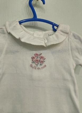 Песочник летний 3