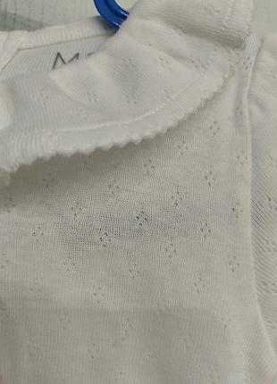 Песочник летний 5