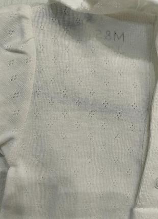 Песочник летний 4