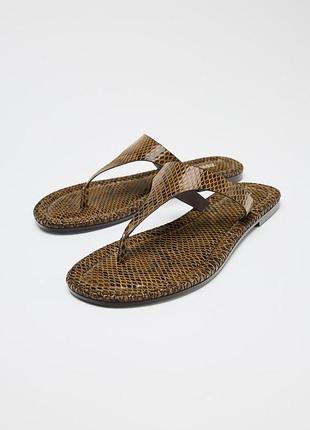 Шлепанцы с анималистическим принтом zara
