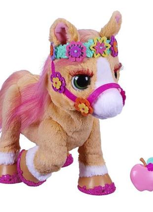 Інтерактивна музична іграшка конячка поні cinnamon hasbro furreal (f4395)