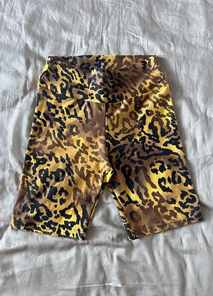 Велосипедки леопардовые