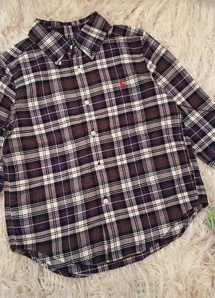 Рубашка в клетку, клеточку