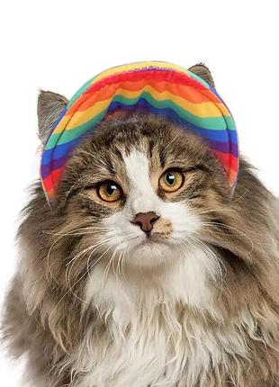 Кепка "tailup" для котів і собак rainbow size s