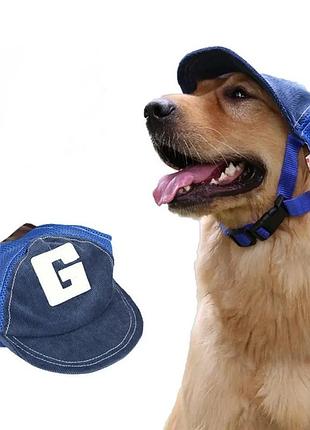 Кепка для собак "buddy" blue size s