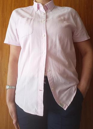 Сорочка authentic casual wear crofted by easy p m/medium 3