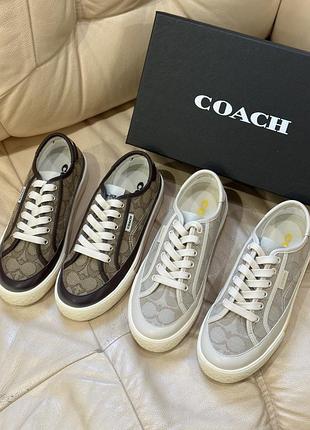 Кеди коуч coach кросівки