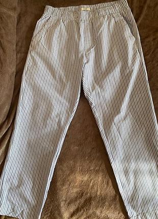 Літні штани colin’s