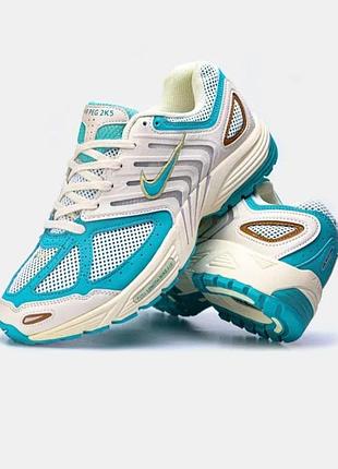 Nike pegasus 2k5