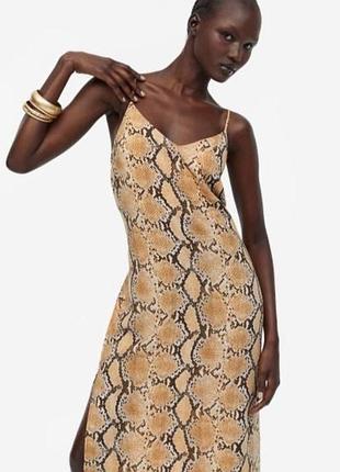 Сукня з принтом h&m