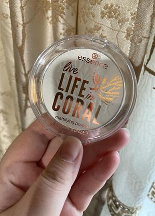 Пудра essence life in coral матирующая