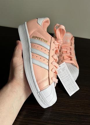 Жіночі кросівки кеди adidas originals superstar b42001