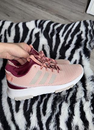 Кросівки adidas cloudfoam qt racer