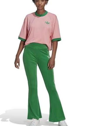 Брюки, брюки велюровые.