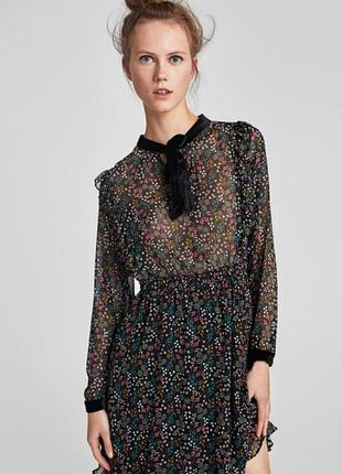 Плати шифонове з вересеневим бантом від zara