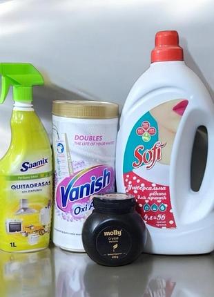 Набір для дому 4в1 (гель для прання, гранули, плямовивідник, антижир)