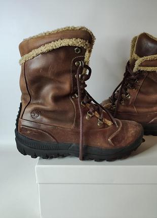 🥾 timberland 🥾