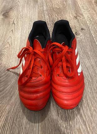 Бутси copa оригінал