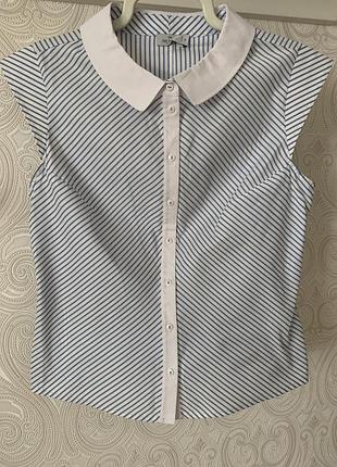 Блуза жіноча польська