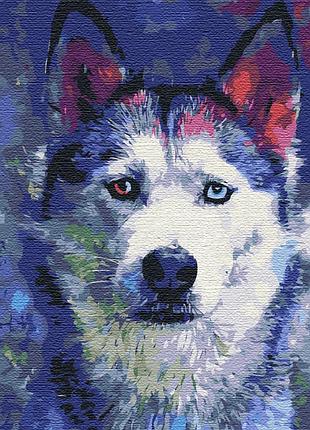 Картина за номерами 40х50 на дерев'яному підрамнику "погляд хаскі" bs51460