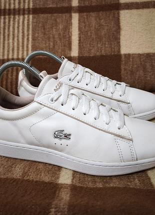 Жіночі кросівки lacoste