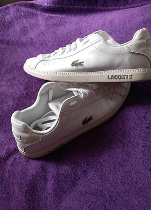 Кеди чоловічі lacoste оригінал 28 см