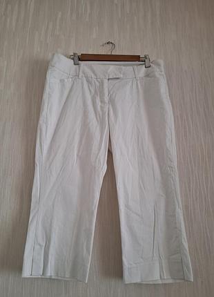 Брюки бриджи коттоновые 12/40 размера