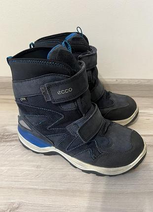 Черевики зимові ecco