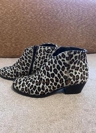 Ботильйони clarks