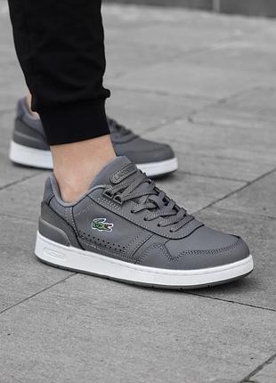 Кросівки lacoste t-clip grey