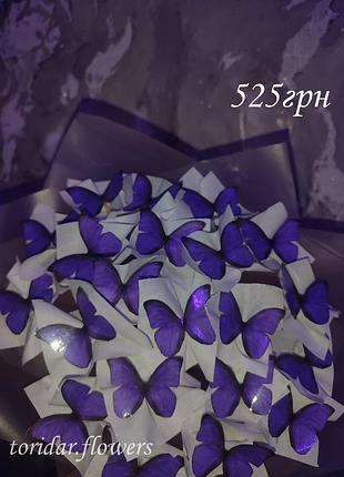 Букет из 21 бабочки!
