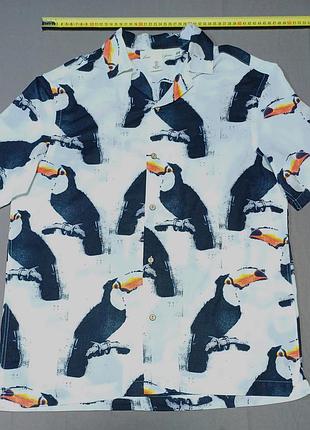 Плечі 48 см  см logg label of graded goods h&m  гавайка теніска  сорочка теніска size s 170/92а