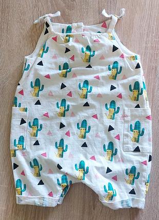 Песочник кактусы